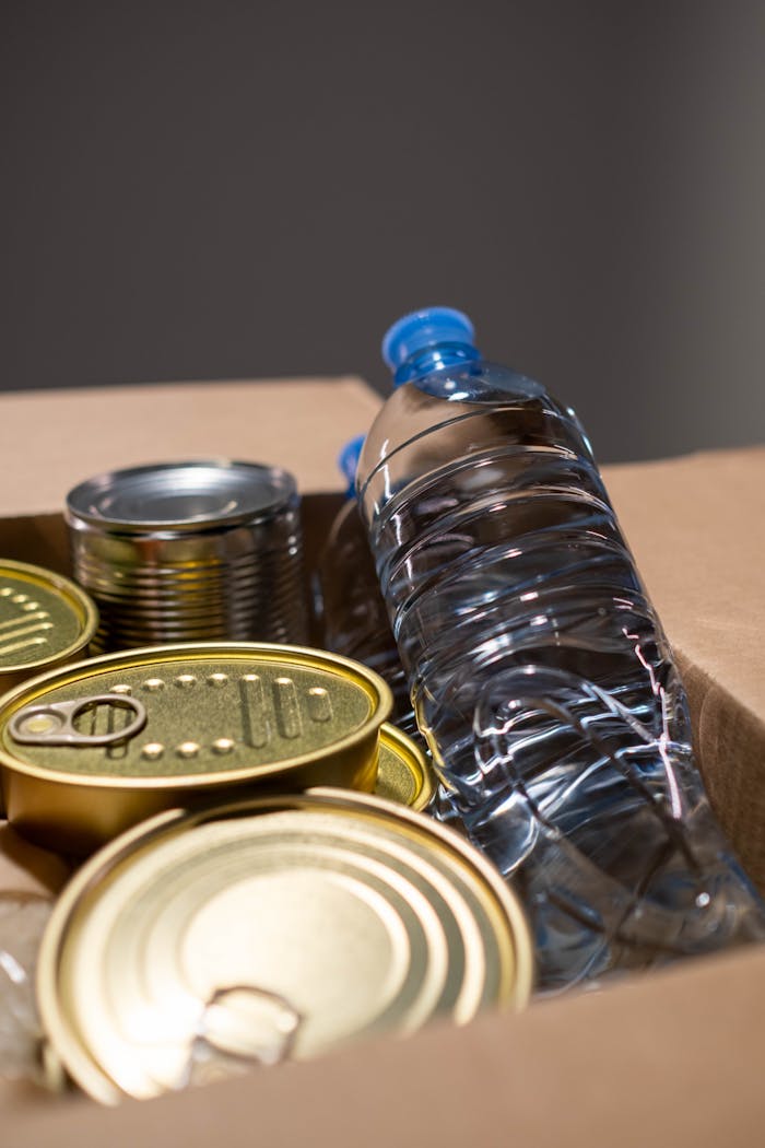 Mastering the First Impression: Your intriguing post title goes here Collection of canned goods and plastic water bottle in a cardboard box for emergency preparedness.